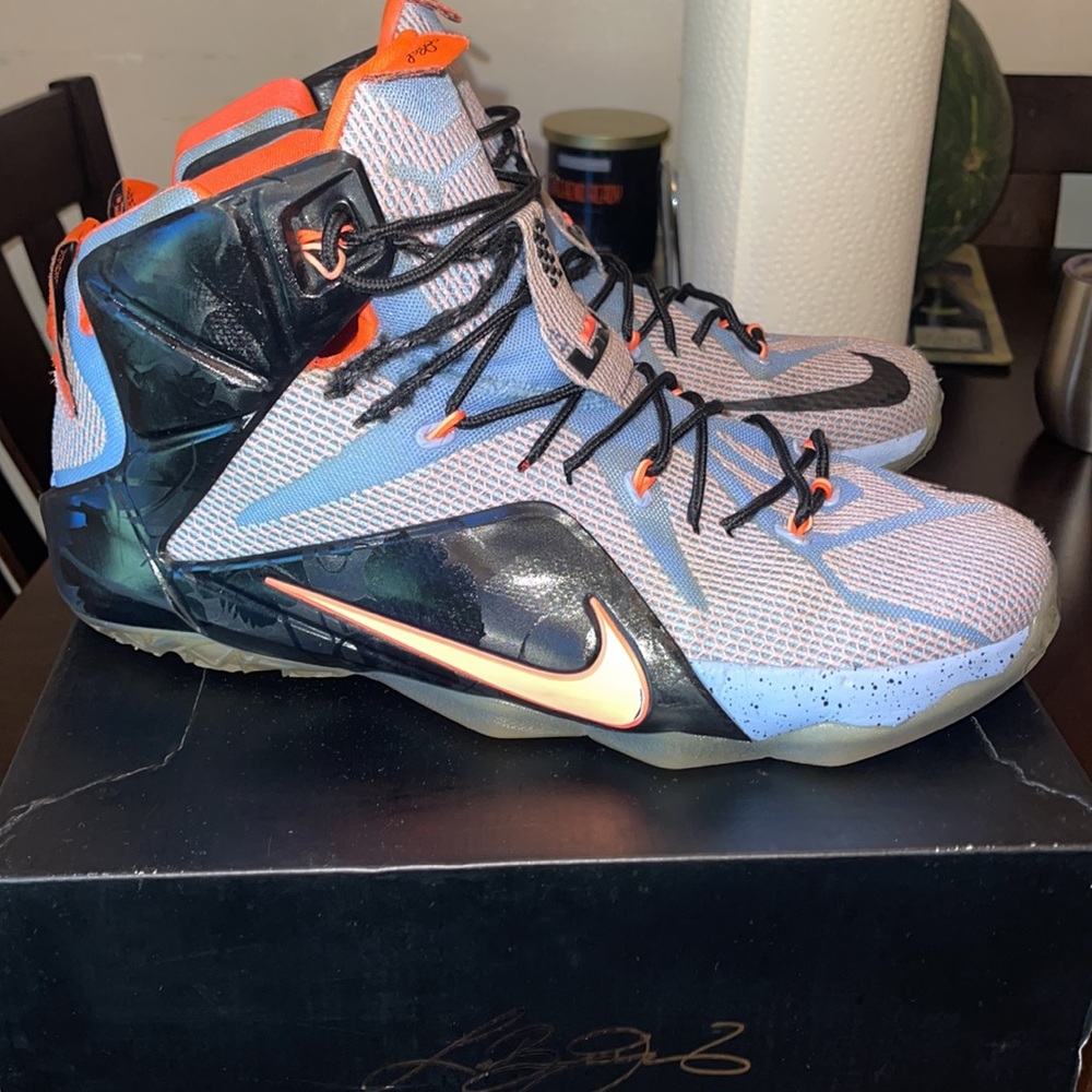 Labron James Xll - Picture 3 of 5